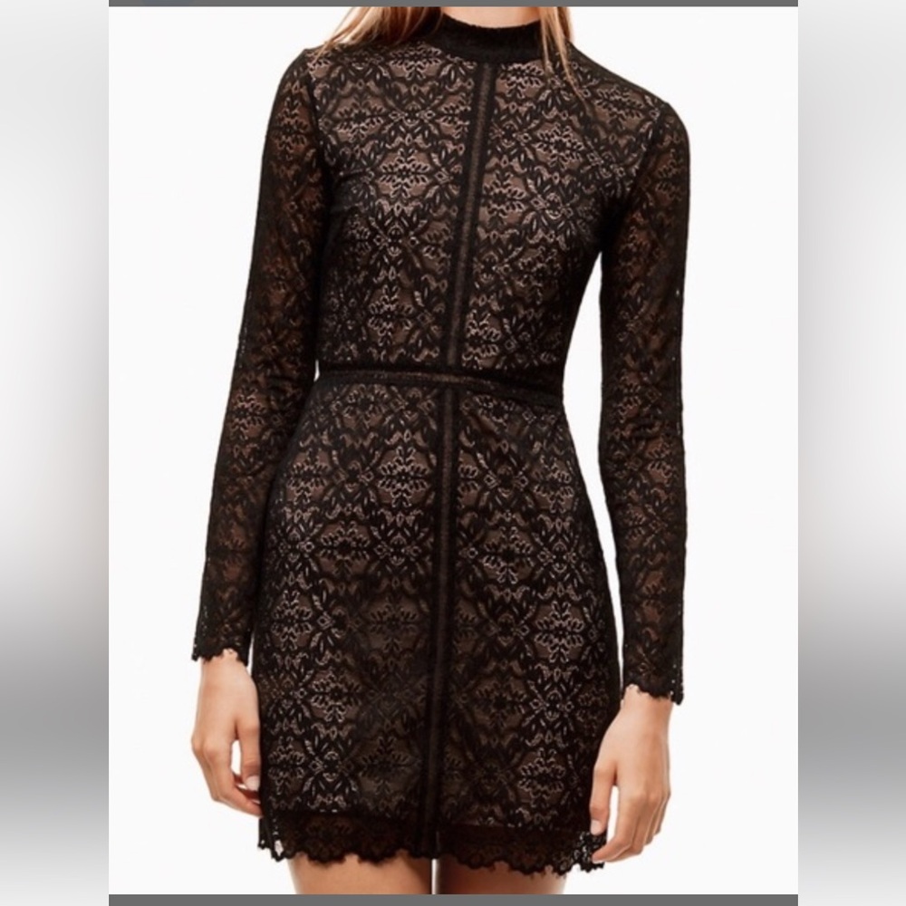 WILFRED Aritzia Janvry Lace Dress
